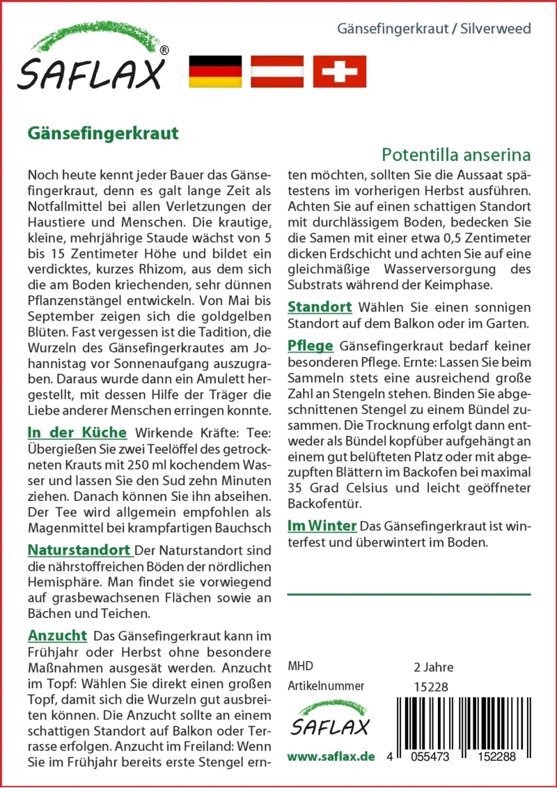 Gänsefingerkraut - Potentilla Anserina Heilpflanzen Gutes Nicht Nur Für Gänse – Bild 2