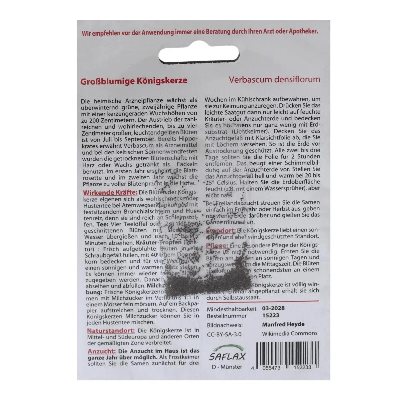 Großblumige Königskerze Heilpflanzen Saatgut - 500 Samen - Verbascum Densiflorum – Bild 2