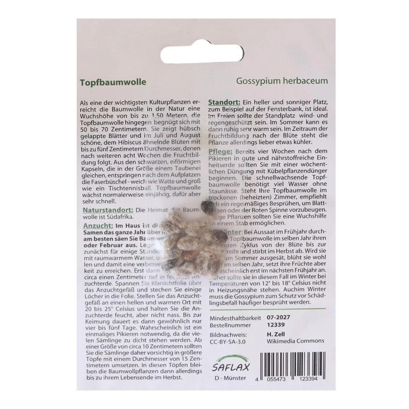 Topfbaumwolle - 12 Samen - Gossypium Herbaceum