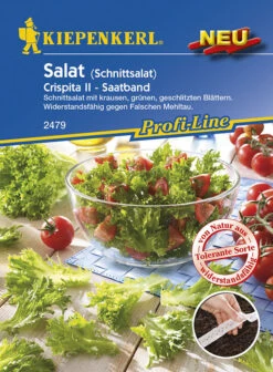 Salat Crispita II (Schnittsalat) Saatband Resistent