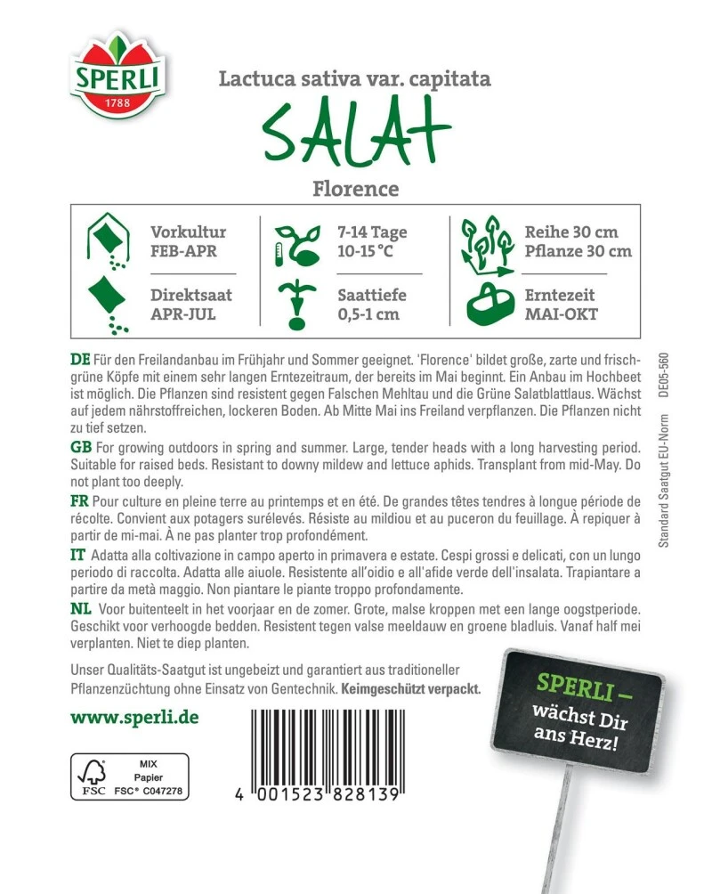 Salat Florence, Für Den Freilandanbau Im Frühjahr Und Sommer Geeignet, Resistent, Hochbeet Geeignet – Bild 2