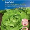 Kopfsalat Analena, Hitzebeständige Sorte Bildet Große Köpfe, Widerstandfähig Gegen Falschen Mehltau