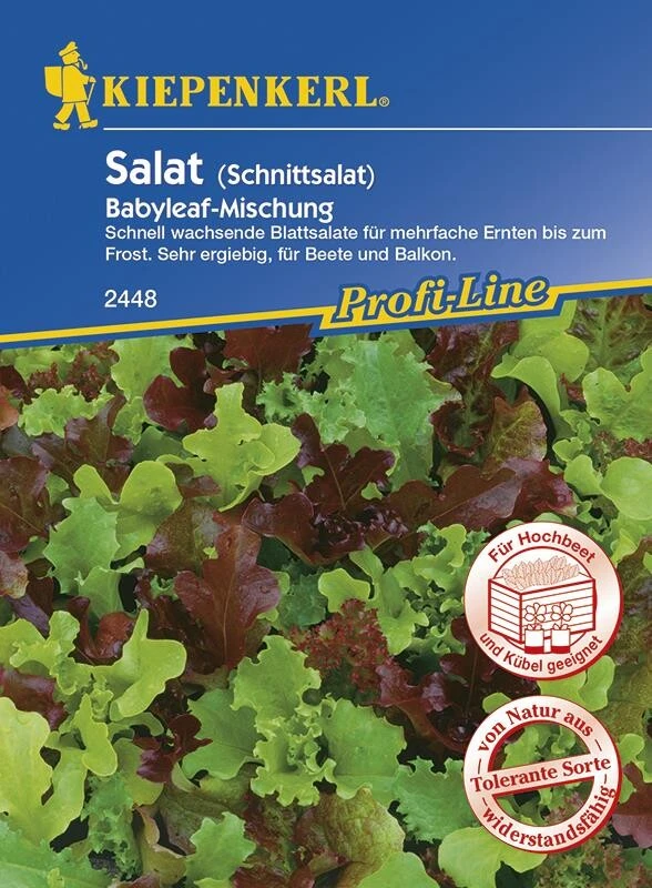 Salat (Schnittsalat) Babyleaf-Mischung