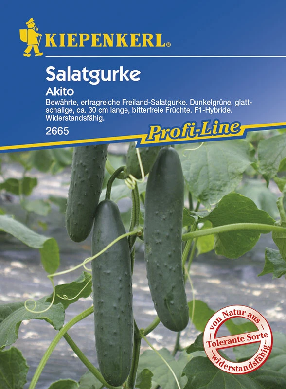 Salatgurke Akito F1 Slicer, Sehr Ertragreiche Freiland-Gurke, Sehr Mild Aromatisch Bitterfrei – Bild 2