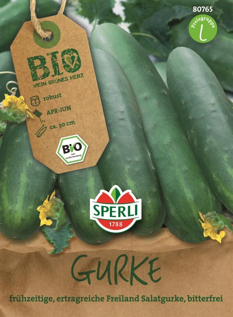 Salatgurke BIO – Bild 2
