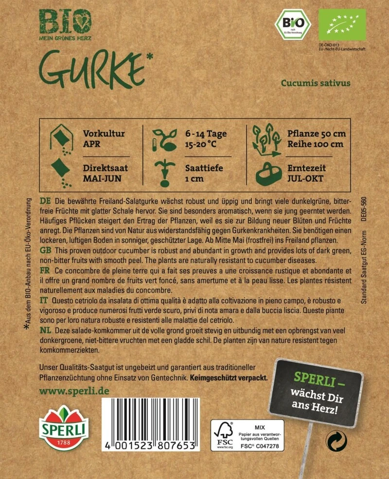 Salatgurke BIO