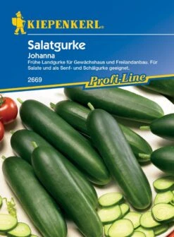Salatgurke Johanna, Frühe Gurke Für Gewächshaus Und Freilandanbau, Perfekt Als Schäl- Und Senfgurke