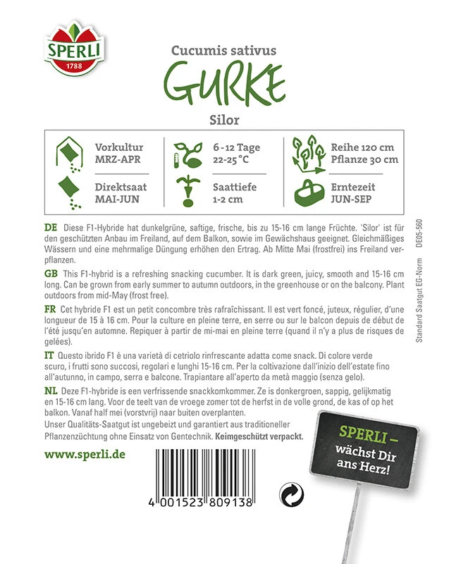 Salatgurke Mini-Snack Gurke Silor F1 – Bild 2
