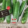 Salatgurke Southern Delight F1, Ertragreich, Bitterfrei, Robuste Freilandsorte, Saatgut Von Sperli