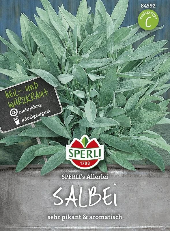 Salbei SPERLING´s Allerlei – Bild 2
