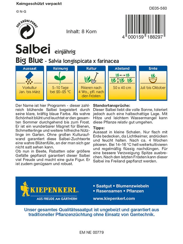 Salvia Ährensalbei Big Blue – Bild 2