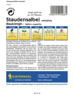 Salvia X Superba Blumensalbei Blaukönigin