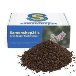 Samenshop24® Buchweizen Gründünger Inhalt: 1kg