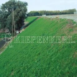 Samenshop24® DSV 870 Böschungsansaat Mit Klee, 1kg Für Ca. 30 M²