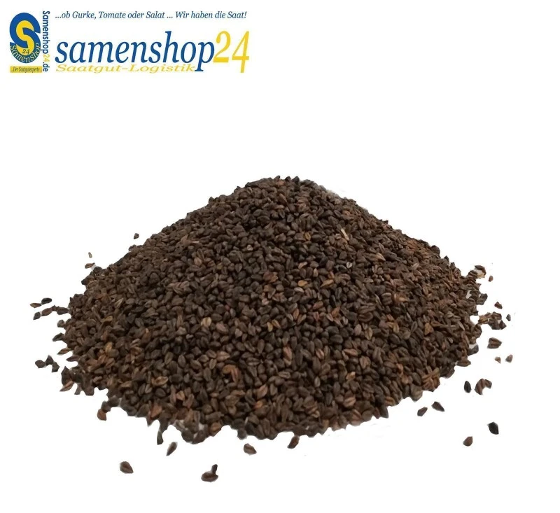 Samenshop24® Esparsette Ambra Onobrychis Viciifolia, Futterpflanze Gründünger 1kg