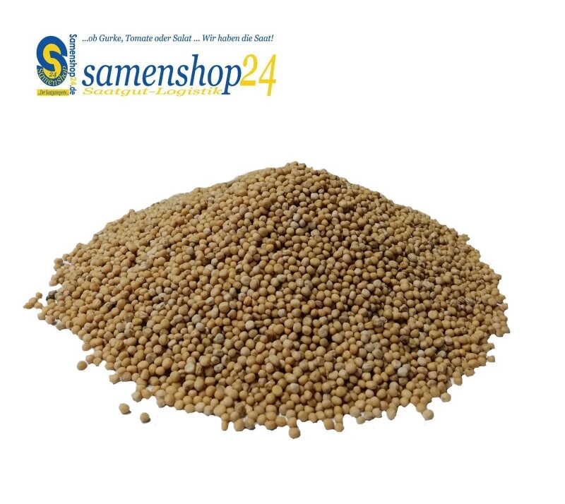 Samenshop24® Gelbsenf, Bodenkur & Gründünger, Premium Saatgut