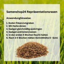 Samenshop24® Repräsentationsrasen 1kg Für 50m²