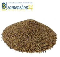 Samenshop24® Rotklee, Inhalt: 1kg Für Ca. 280m², Stickstoffsammler, Futterpflanze Für Nützlinge
