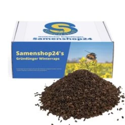 Samenshop24® Winterraps Bodenkur & Gründüngung Inhalt: 1kg