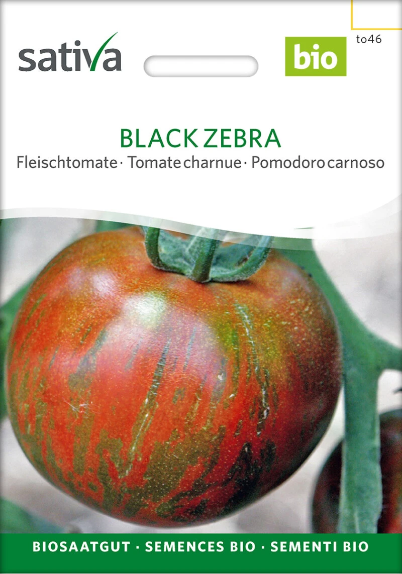 Fleischtomate BLACK ZEBRA Samfenste Bio-Sorte