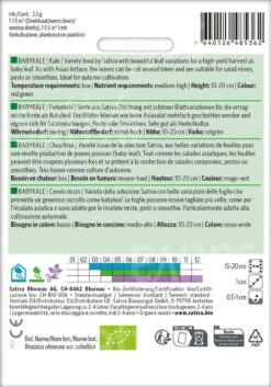Babykale Federkohl Ernte Als Babyleaf Wie Beim Asiasalat