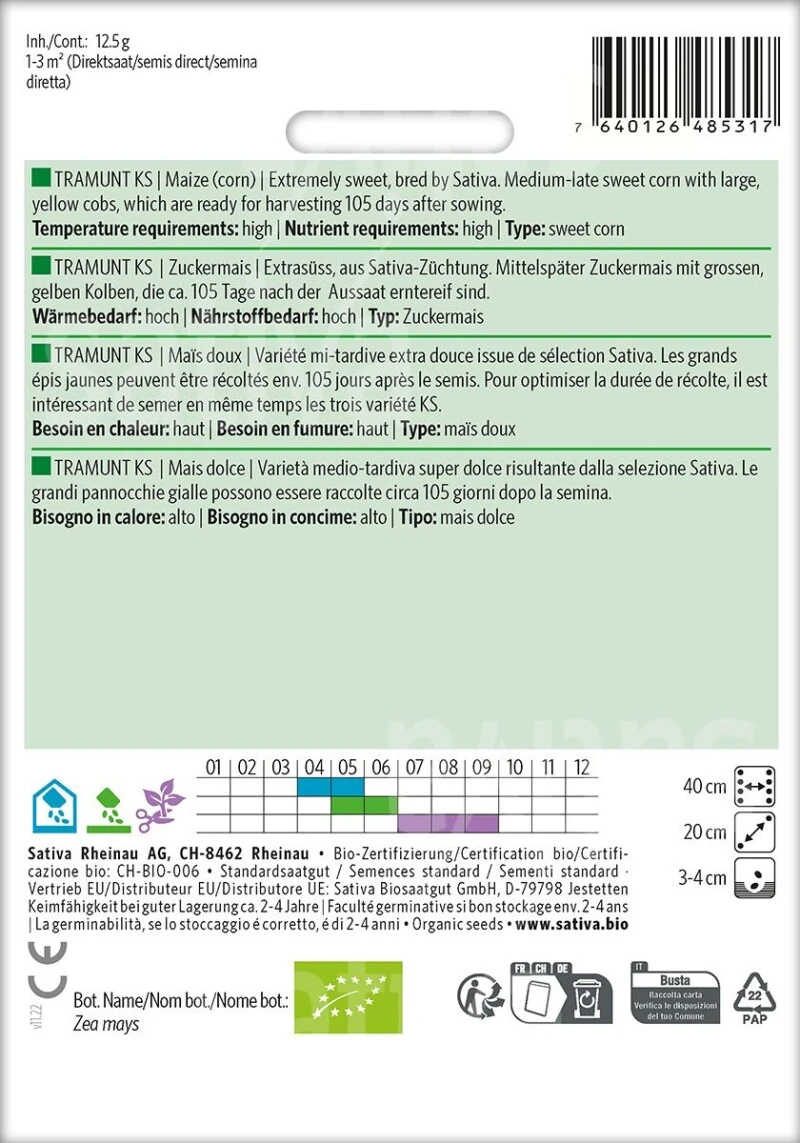 Zuckermais TRAMUNT KS, Extrasüss, Aus Sativa-Züchtung. Mittelspäte Sorte – Bild 2