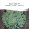 Red Russian Federkohl Süßer Und Zarter Als Grünkohl