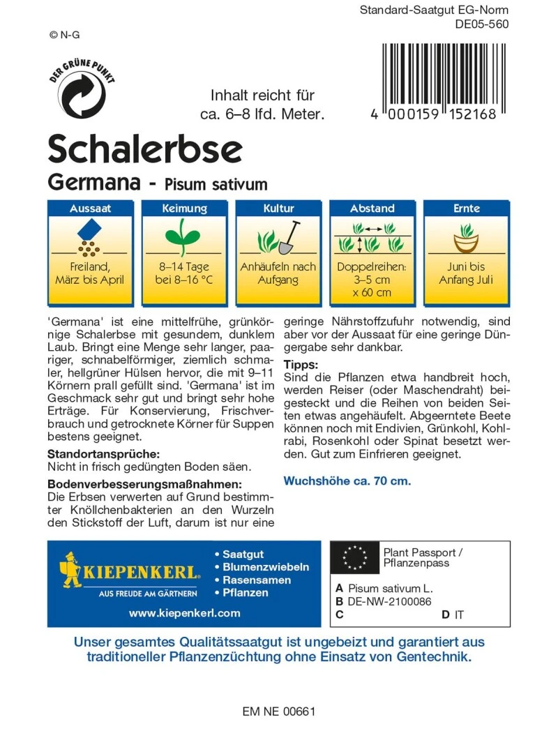 Schalerbse Germana, Mittelfrühe Grünkörnige Schalerbse Mit Dunklem Laub, Sehr Ertragreich – Bild 2