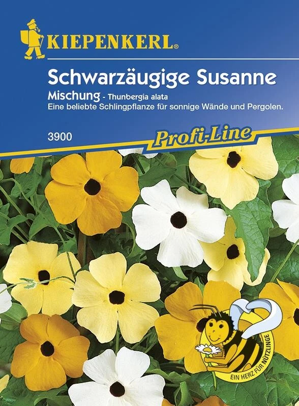 Schwarzäugige Susanne, Beliebte Schlingpflanze Für Sonnige Wände Und Pergolen