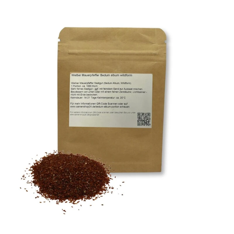 Weißer Mauerpfeffer Sedum Album Wildform Bodendecker Für Steingärten Heidegärten Und Dachbegrünung – Bild 2