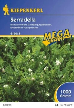 Serradella Gründünger | 1kg Für 200 M² | Für Bodenlockerung Und Stickstoffanreicherung
