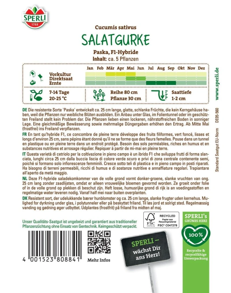 Salatgurke Paska F1, Resistent, Ertragreich, Für Freiland Und Gewächshaus, Saatgut Von Sperli – Bild 2