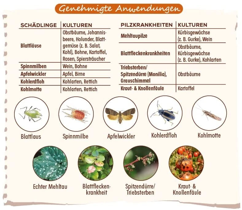 Solabiol Grundstoff Urtica Spray, (Inhalt: 1 Liter), Unterstützt Die Natürliche Abwehr Von Schädlingen Und Pilzkrankheiten – Bild 3