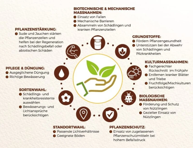 Solabiol Grundstoff Urtica Spray, (Inhalt: 1 Liter), Unterstützt Die Natürliche Abwehr Von Schädlingen Und Pilzkrankheiten – Bild 9