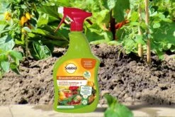 Solabiol Grundstoff Urtica Spray, (Inhalt: 1 Liter), Unterstützt Die Natürliche Abwehr Von Schädlingen Und Pilzkrankheiten