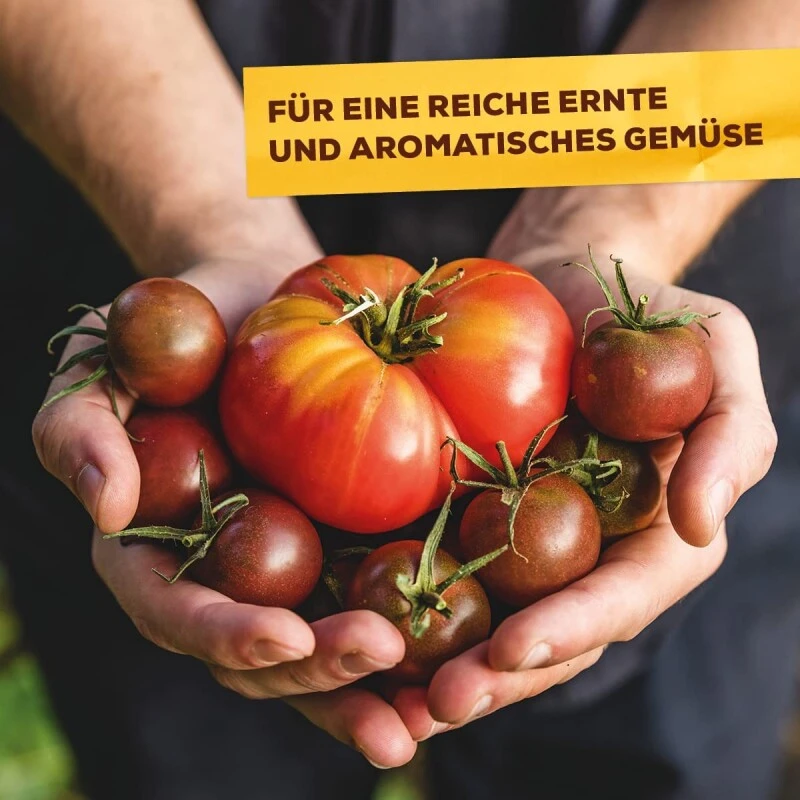 Solabiol Tomatendünger Mit Wurzelstimulator Und Natürlicher Sofort- Und Langzeitwirkung, 0,75 Kg Beutel – Bild 8