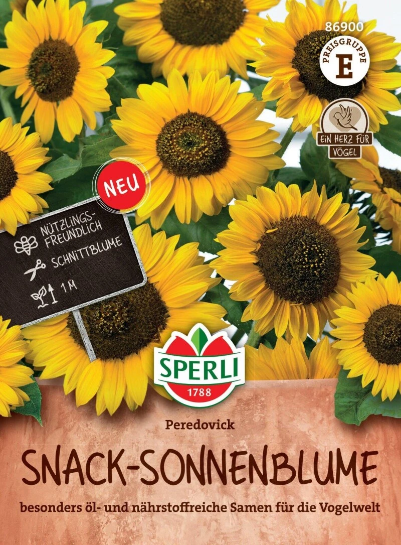 Snack-Sonnenblume Peredovick, Nährstoffreiche Samen Für Die Vogelwelt, Nützlingsfreundlich