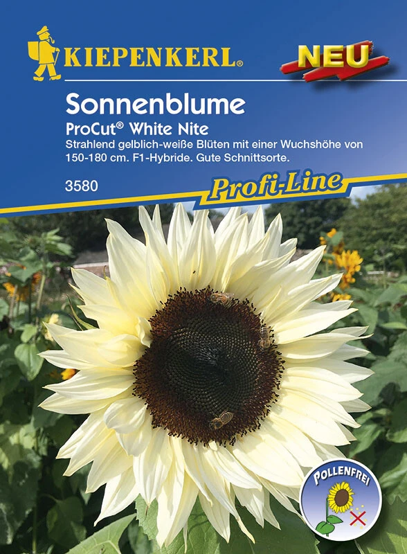 Sonnenblumen ProCut® White Nite – Bild 2