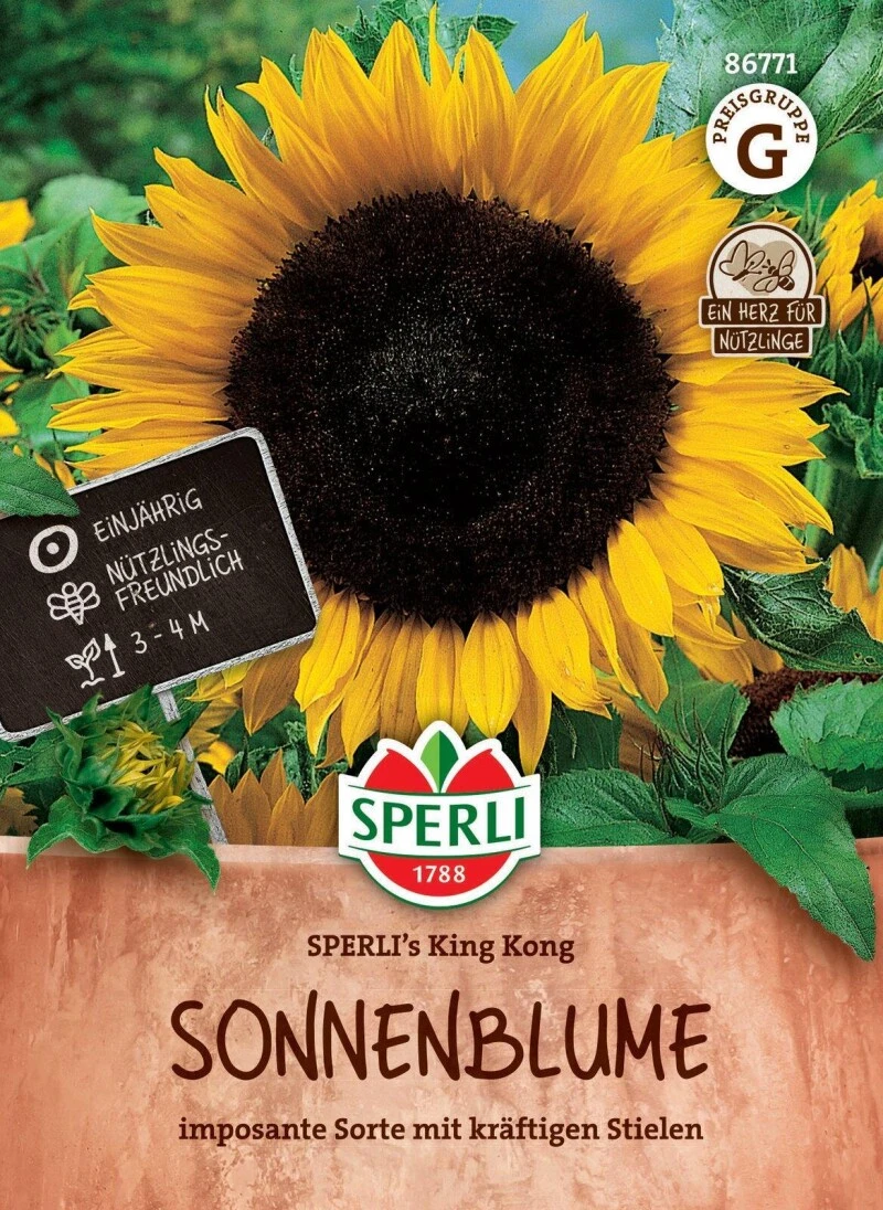 Sonnenblume SPERLI's King Kong, Nektarspender, Imposante Sorte, Wuchshöhe Bis 4 Meter