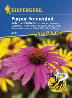 Sonnenhut Roter Leuchtstern, Langstielige Robuste Staude Für Den Schnitt