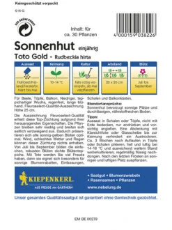 Sonnenhut Toto, Für Beete Töpfe Balkon, Niedriger Teppichartiger Wuchs, Regenfest Lange Blühend