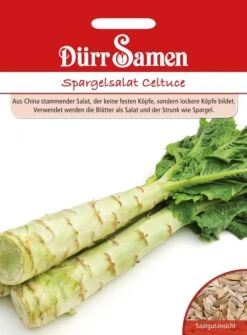 Spargel Spargelsalat Celtuce