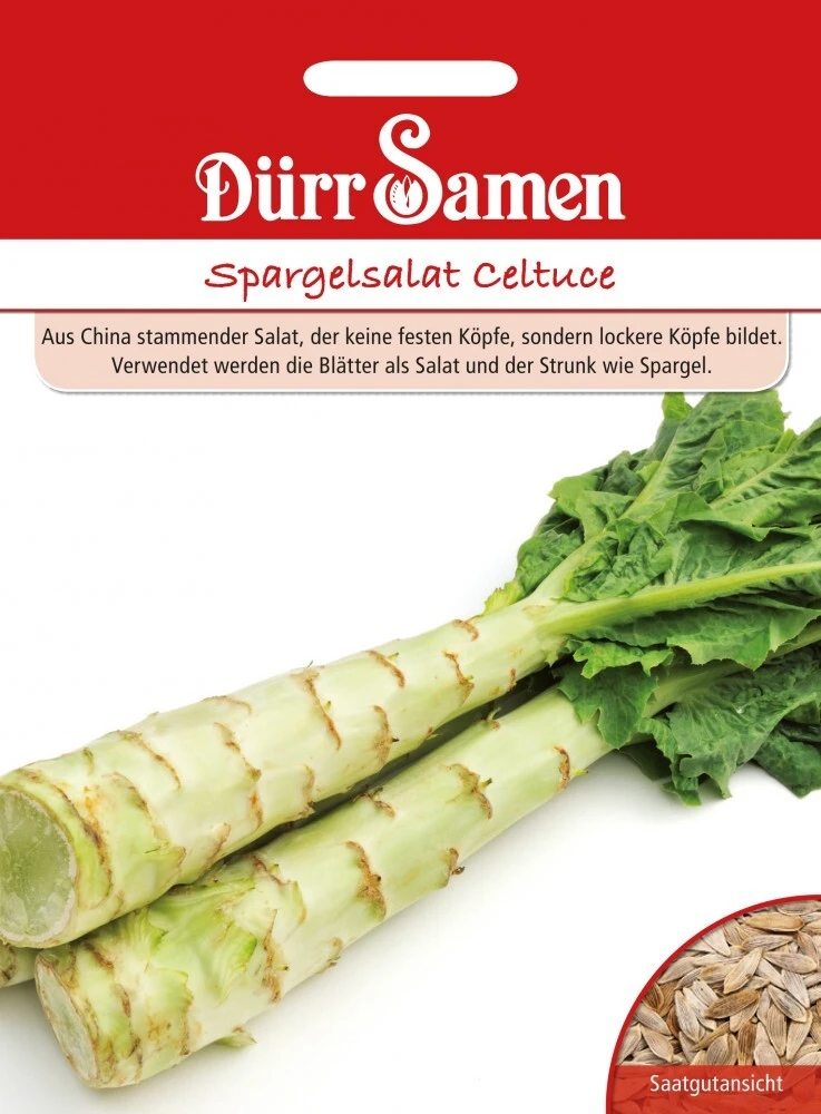 Spargel Spargelsalat Celtuce
