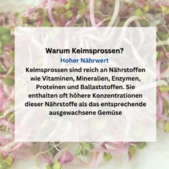 SPARANGEBOT BIO-Keimsprossen-Set 3-12 Sorten Große Auswahl Würziger Sorten