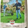 SPERLI's Rasen + Dünger, 1 Kg Für Ca. 25 M², Mischung Aus Nachsaatrasen Und Organischem Dünger
