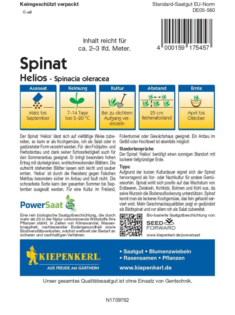 Spinat Helios (PowerSaat), Schossfest Und Widerstandsfähig