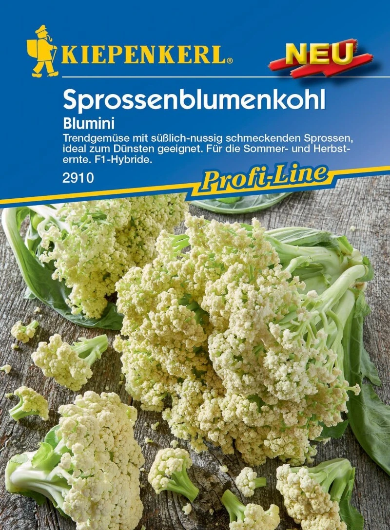 Sprossenblumenkohl Blumini Trendgemüse Mit Süßlich-nussig Schmeckenden Sprossen – Bild 3
