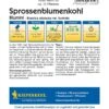 Sprossenblumenkohl Blumini Trendgemüse Mit Süßlich-nussig Schmeckenden Sprossen