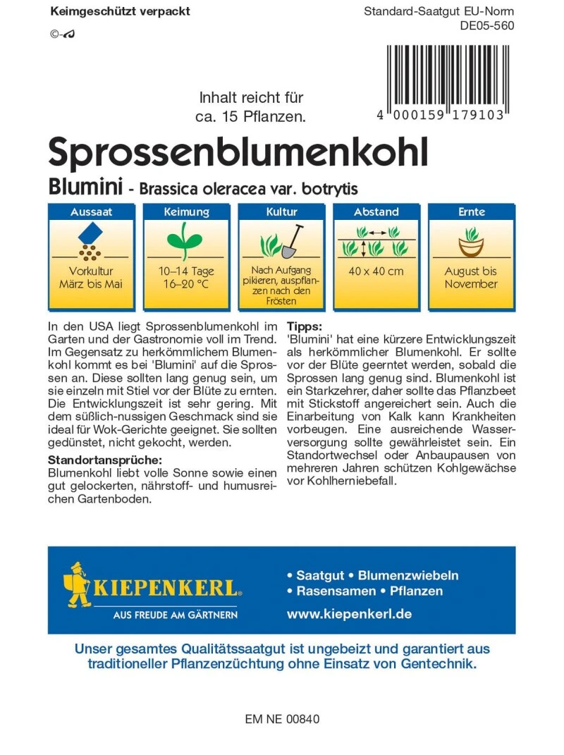 Sprossenblumenkohl Blumini Trendgemüse Mit Süßlich-nussig Schmeckenden Sprossen