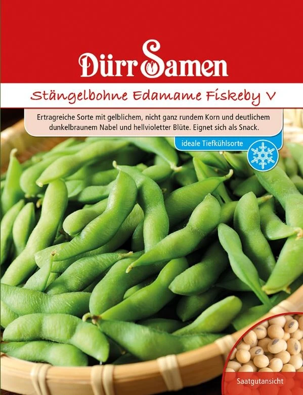 Stängelbohne Edamame Fiskeby V, Sehr Frühzeitige Und Ertragreiche Sorte, Verwendung Wie Frische Erbsen (grün) Oder Als Trockenbohne